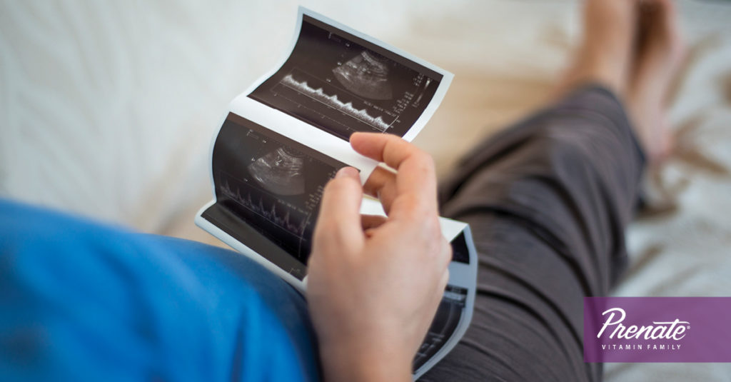 What to Expect During Your First Trimester Prenate Vitamin Family