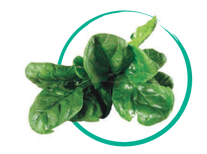 Prenatal Vitamins with Folic Acid