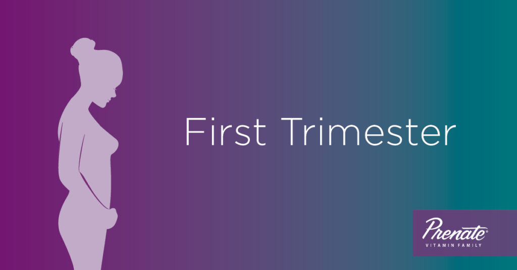 Prenatal Vitamins for Each Stage of Pregnancy First Trimester Months