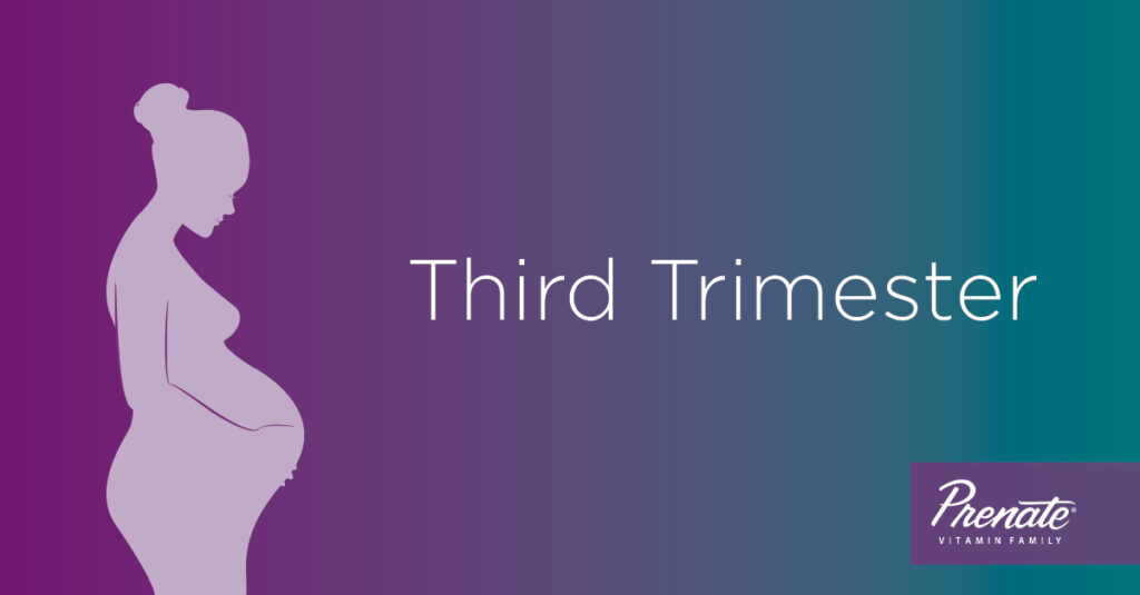 Prenatal Vitamins for Each Stage of Pregnancy Third Trimester Months