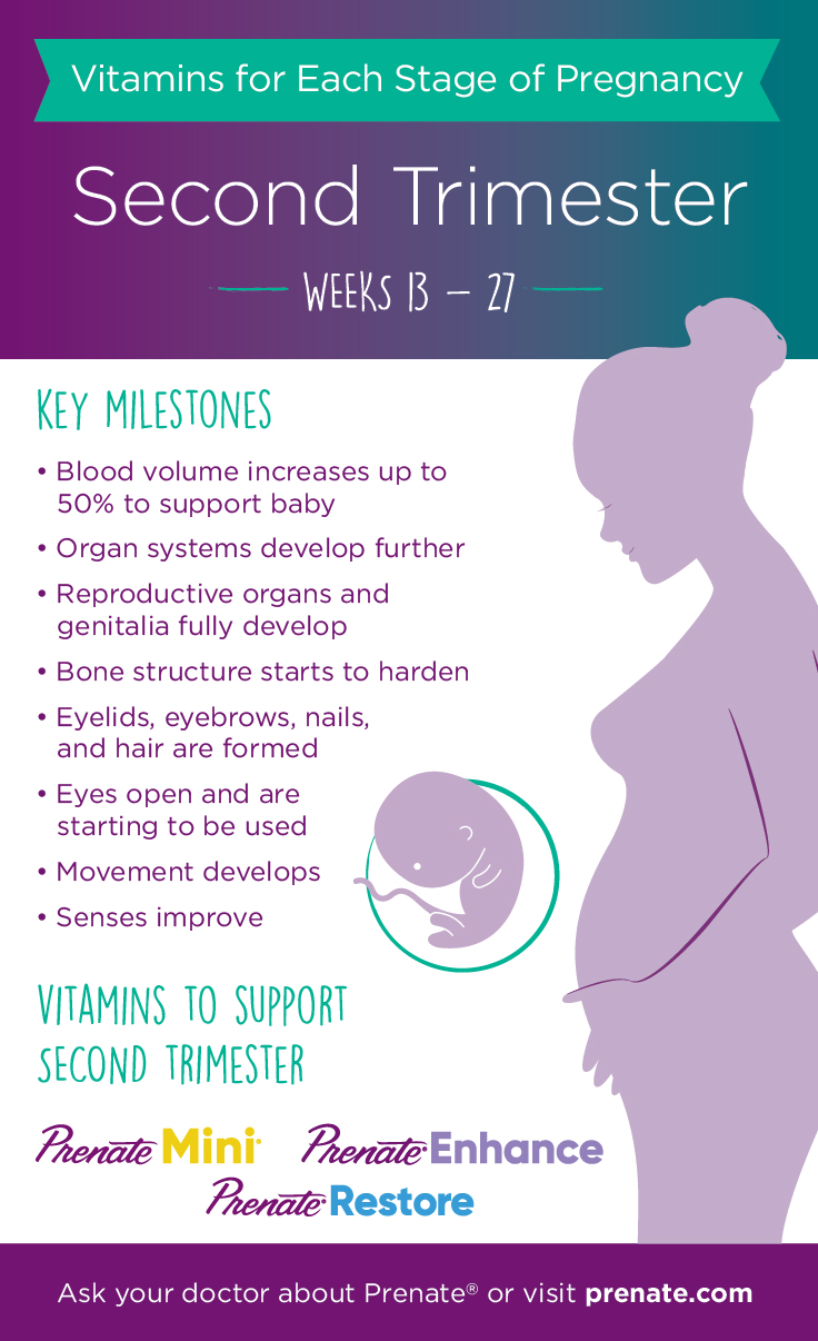 Mistake To edit Retaliation Prenatal Vitamins for Each Stage of Pregnancy: Second Trimester - Months 4  to 6 - Prenate Vitamin Family