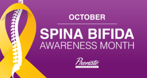 prenatal vitamins with folic acid for spina bifida prevention