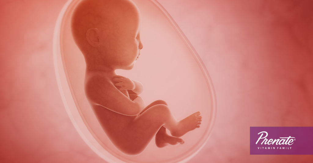 Uterine Fluid May Be Preparing Your Baby for the Outside World