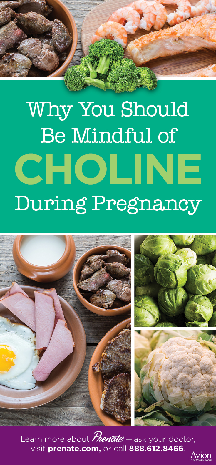 Why You Should Be Mindful of Choline During Pregnancy - Prenate Vitamin