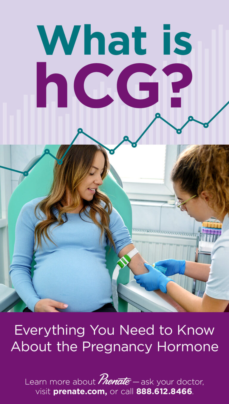 What You Need to Know About hCG, the Pregnancy Hormone Prenate
