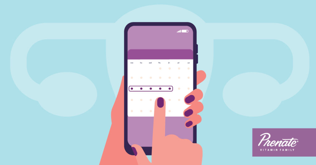 The Difference Between Fertility Monitors & Ovulation Calculators