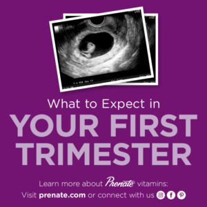 Your First Trimester Pinterest graphic